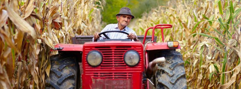 Zato bi morali uživati lokalno pridelano hrano