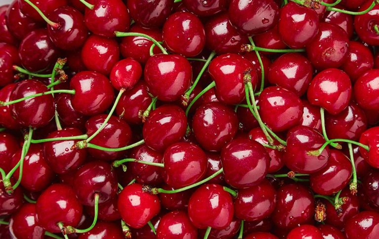 GURMANI OBOŽUJEJO KEFIR Z VIŠNJO