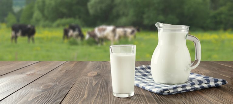 Rastlinski napitki – ali lahko nadomestijo mleko?