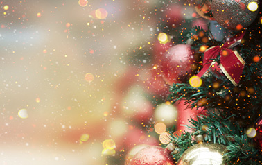 Božični čas - Mlekarna Krepko