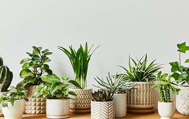 Pozitivni koraki: V novo leto z optimizmom