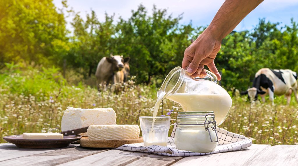Ekološko pridelana hrana